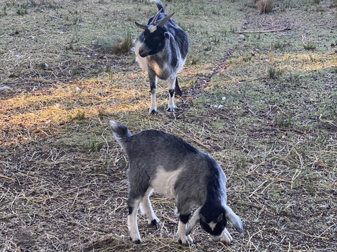 La India - Somos Naturaleza