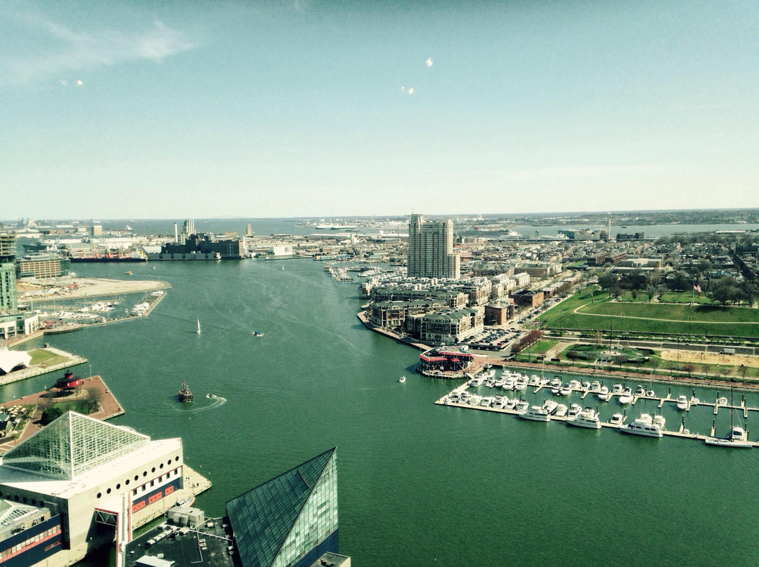 Top of the World Observation Level