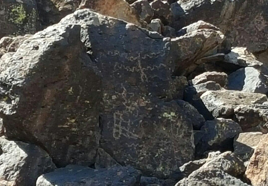 Deer Valley Petroglyph Preserve景点图片