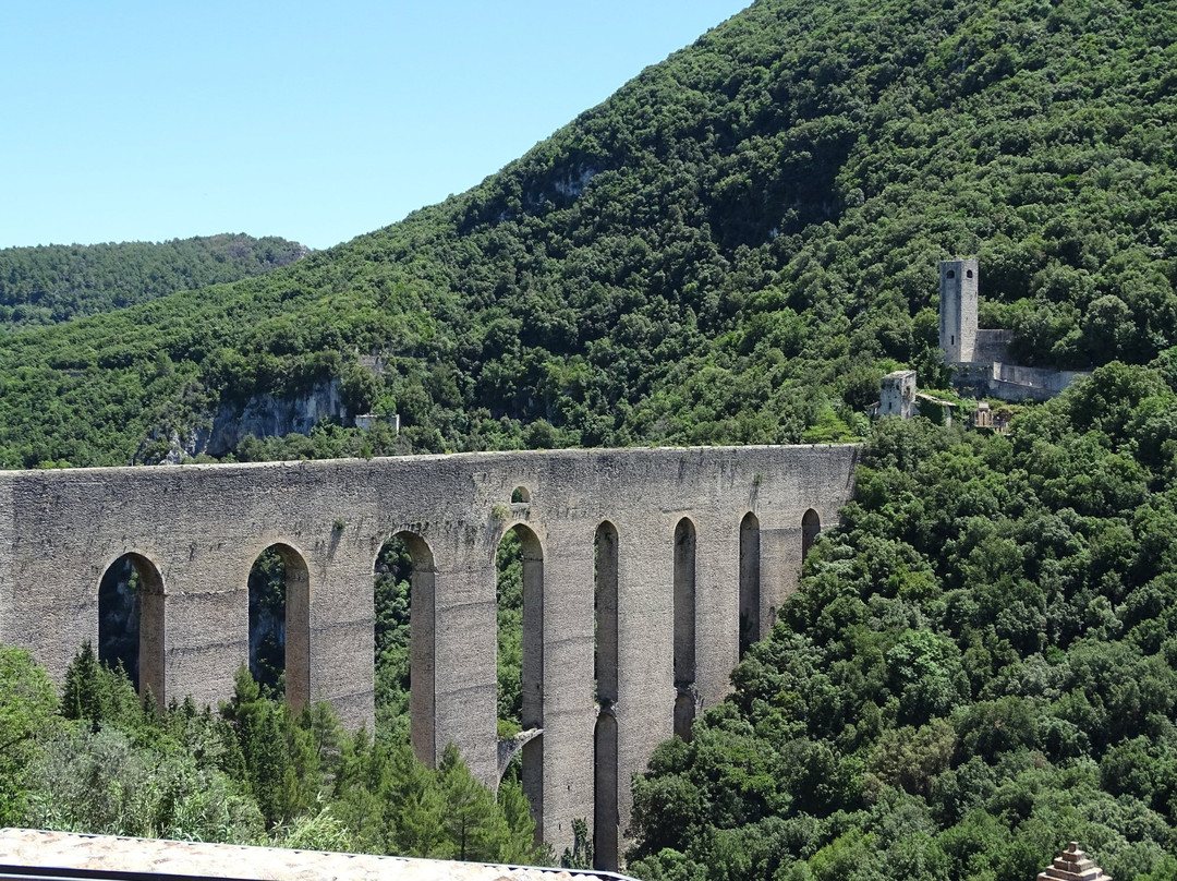 Ponte delle Torri景点图片