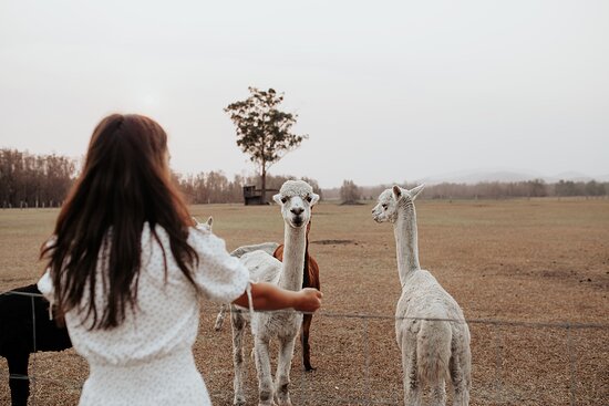 Laurina Estate-官方