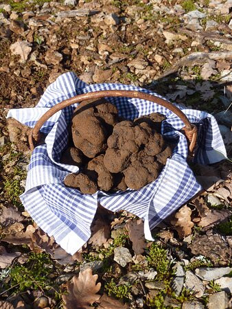 Truffes Passion-Limogne-en-Quercy必去景点
