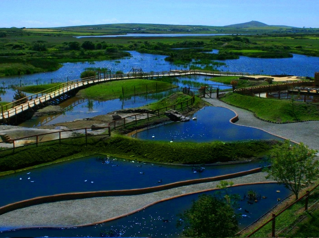 Dingle Wildlife & Seal Sanctuary景点图片