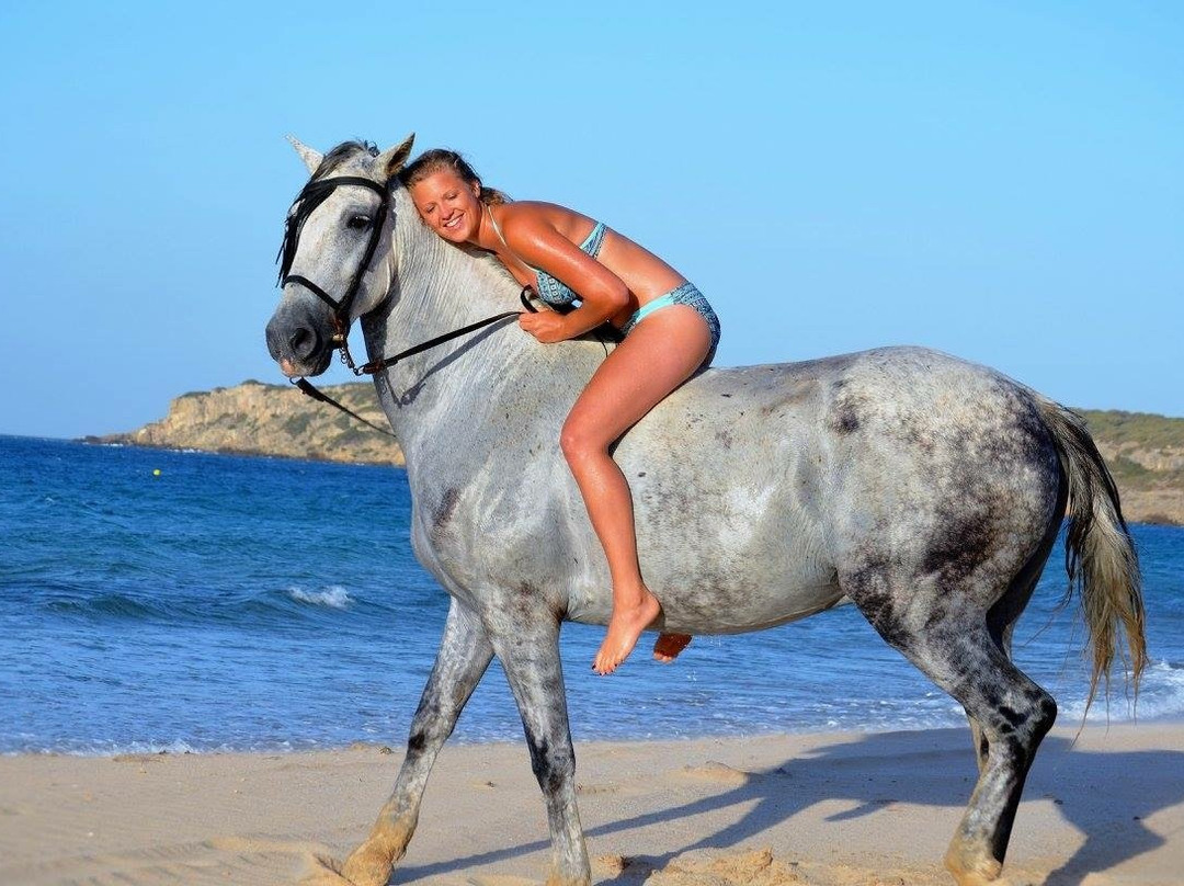 Aventuras Del Sur-塔里法必去景点