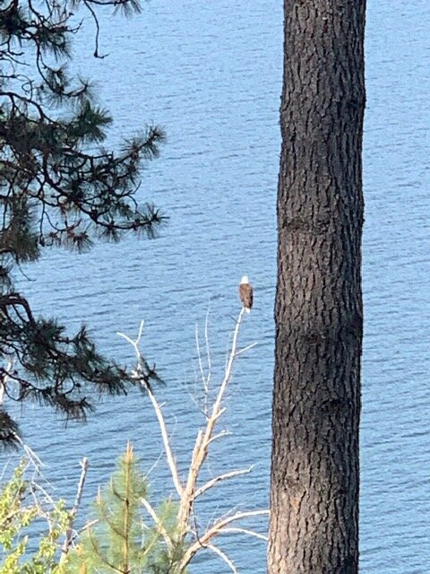 Camp Runamuck Bed and Breakfast主图