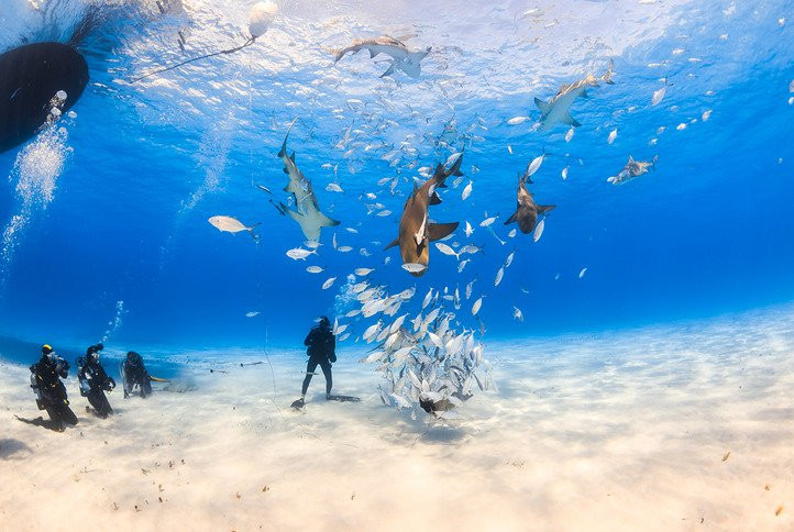 Brendal's Dive Center景点图片