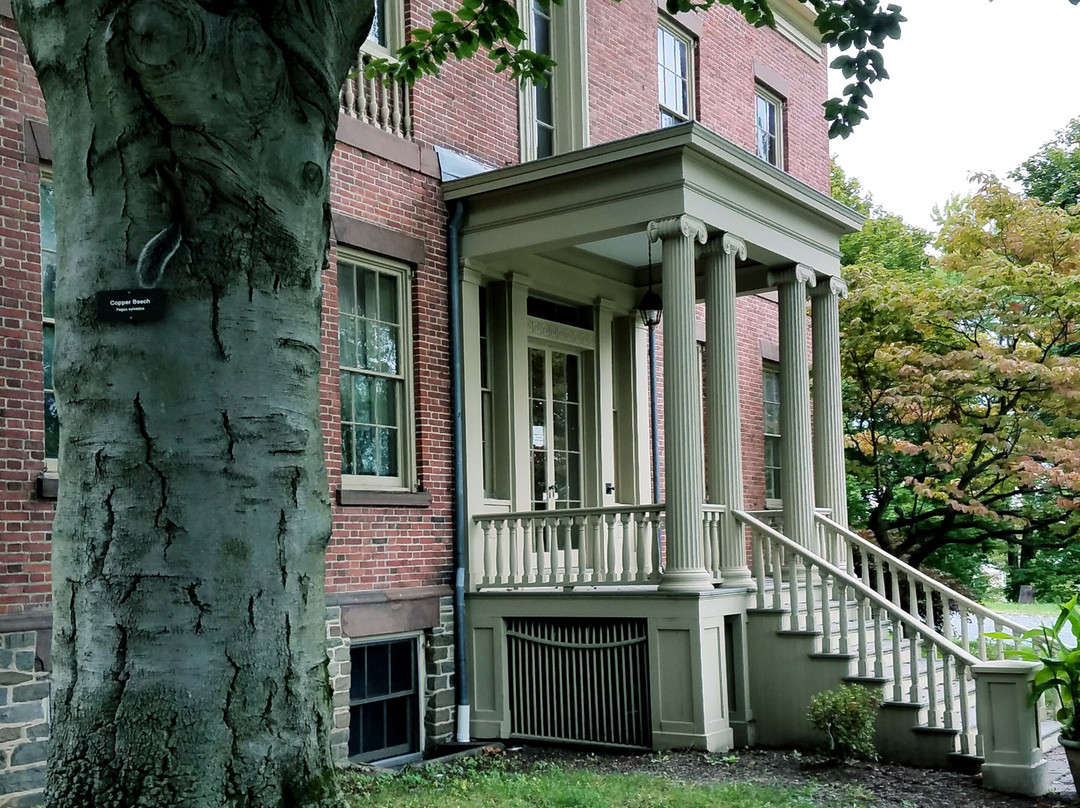 Albany County Historical Association