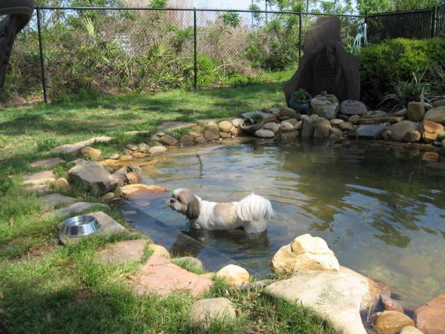 Nassau Humane Society Dog Park景点图片