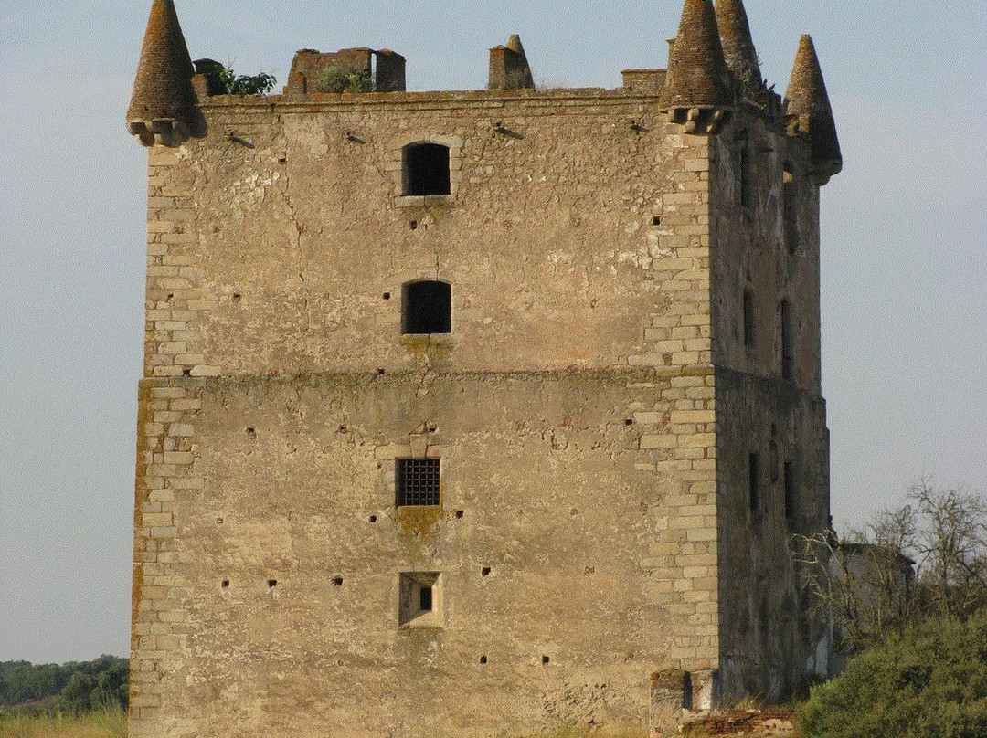 Torre das Águias景点图片