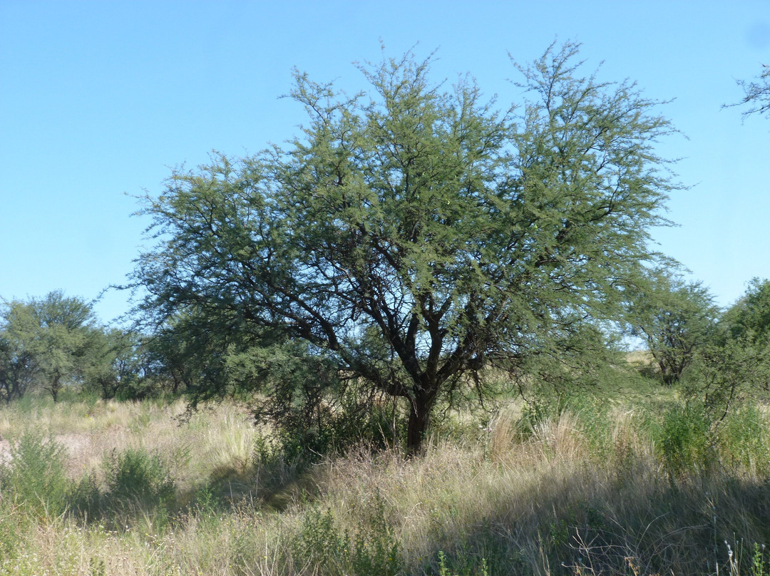 Reserva Natural Urbana la Malvina景点图片