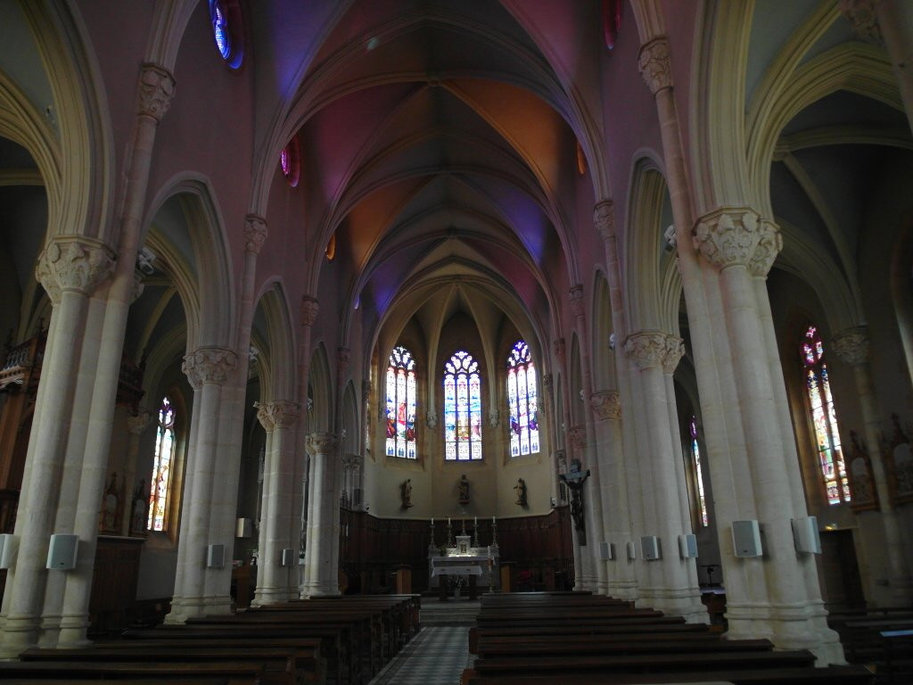 Eglise Saint Vincent des Pierres Dorees景点图片