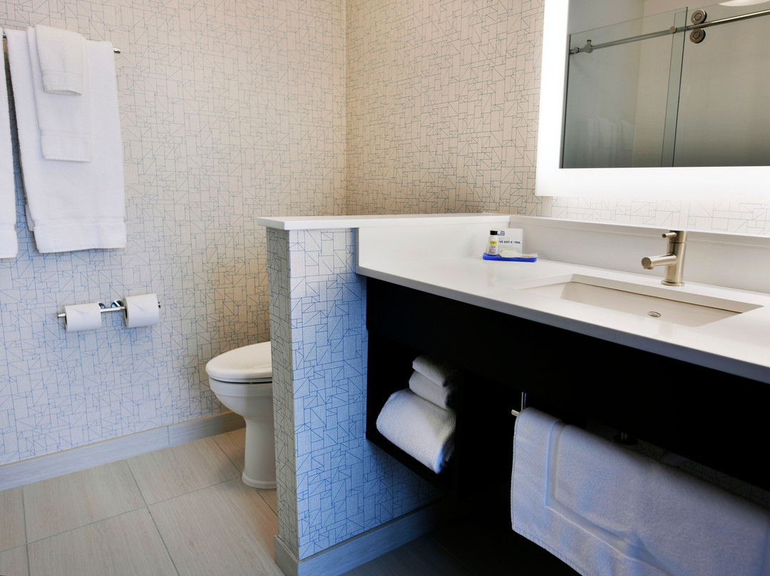 Holiday Inn Express & Suites Jersey City - Holland Tunnel By IHG主图