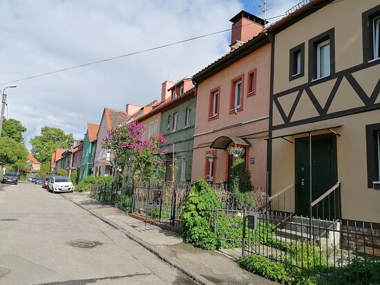 Muzey Inklyuzov, Ukrasheniy I Izdeliy Iz Yantarya "50 Millionov Let"景点图片