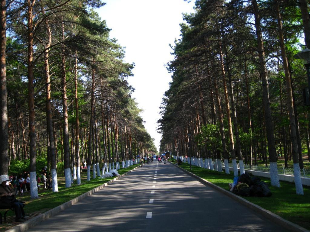 双城市旅游景点-哈尔滨森林公园