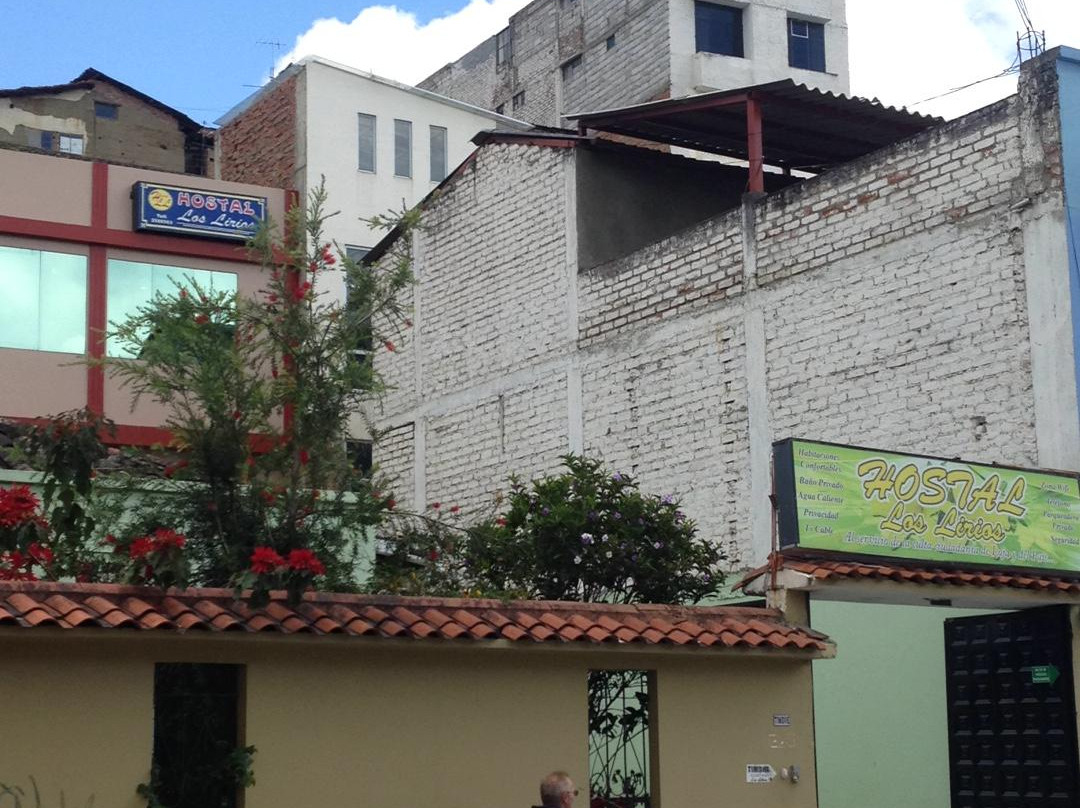 Hostal Los Lirios主图