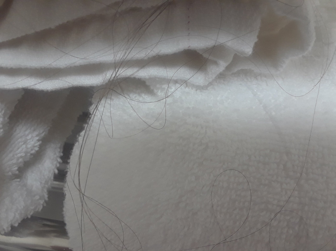 Quality Inn-Central主图