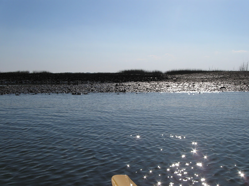 Beaufort Kayak Tours-博福特必去景点