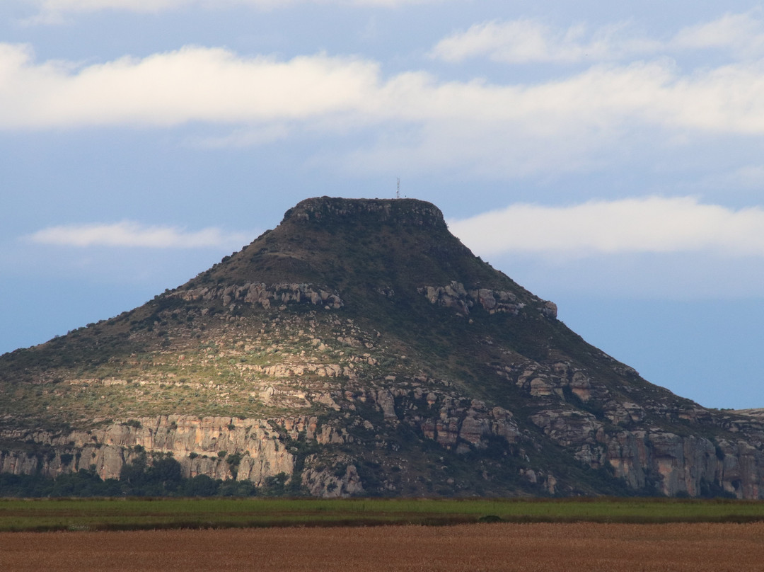Kestell酒店住宿-Merino Guest Farm