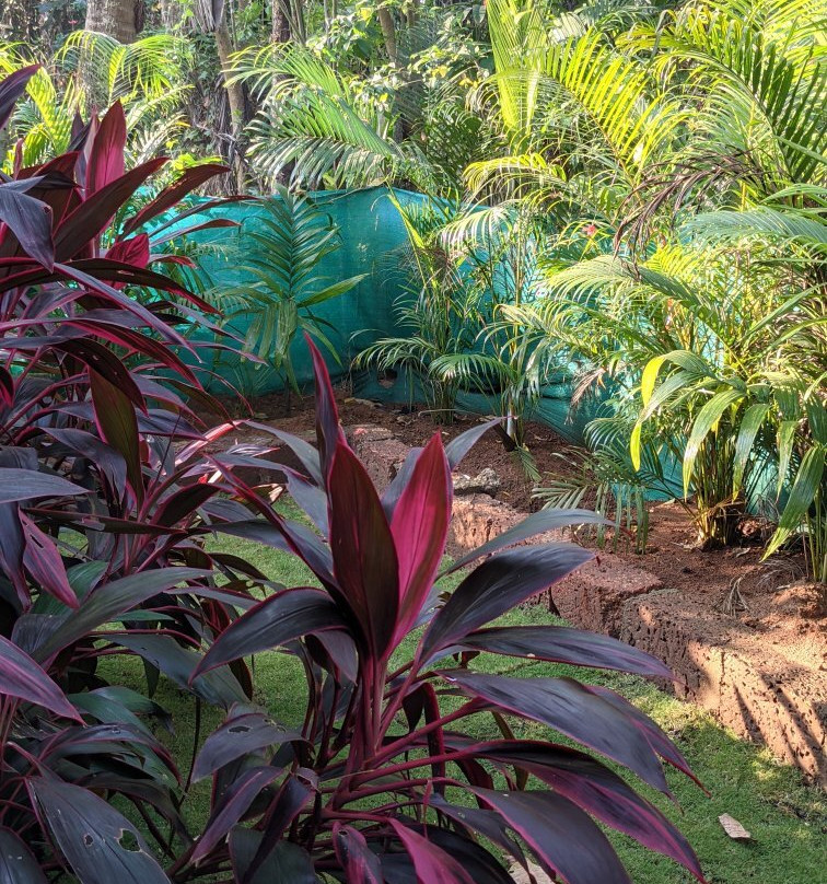 Coconut Fly Holidays Resort主图