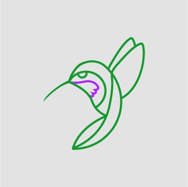 Sheartail Expeditions-塞莱斯顿必去景点