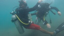 True Scuba景点图片