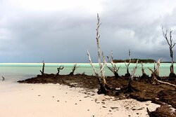 Tasman Venture - Day Tours-赫维湾必去景点