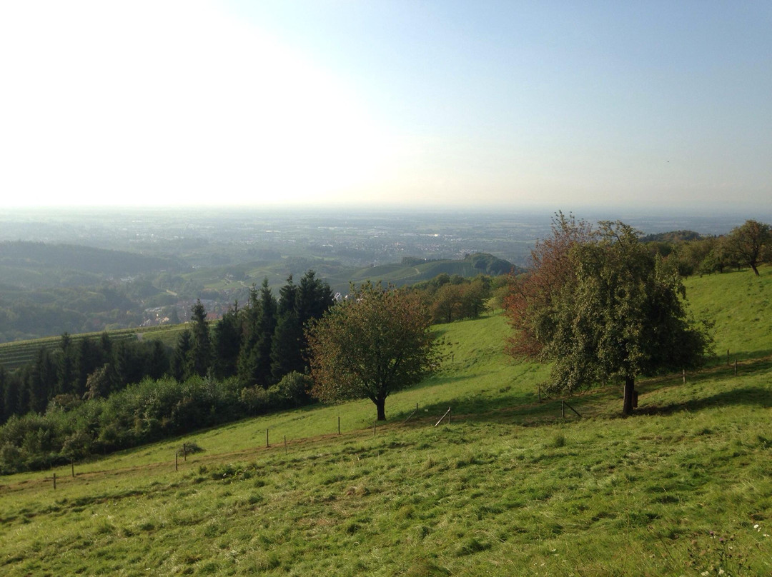 Sasbachwalden酒店住宿-Hotel Spinnerhof