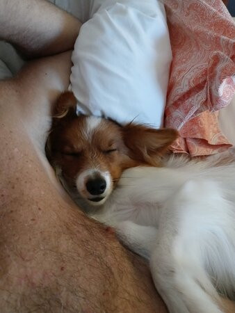 Super 8 by Wyndham Ormond Beach主图