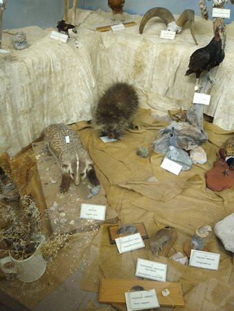 Mineral County Museum-Hawthorne必去景点