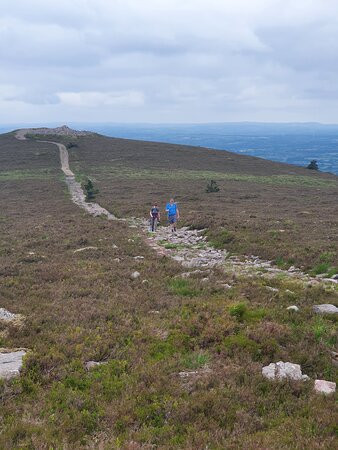 Ballyhoura Walking Trails-利默里克必去景点