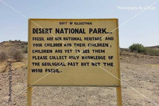Akal Wood Fossil Park景点图片