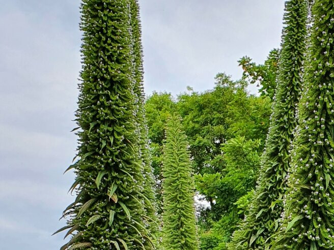 Hotel De France主图