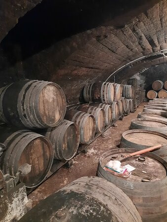 Domaine aux 4 Temps主图
