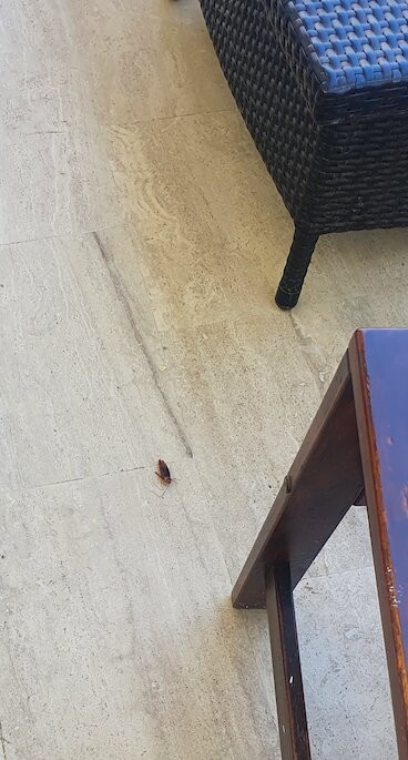 Costa Sariyaz Hotel主图