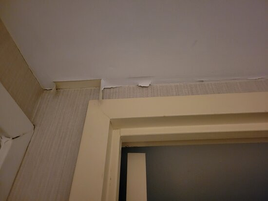 Doubletree By Hilton Chicago Wood Dale - Elk Grove主图