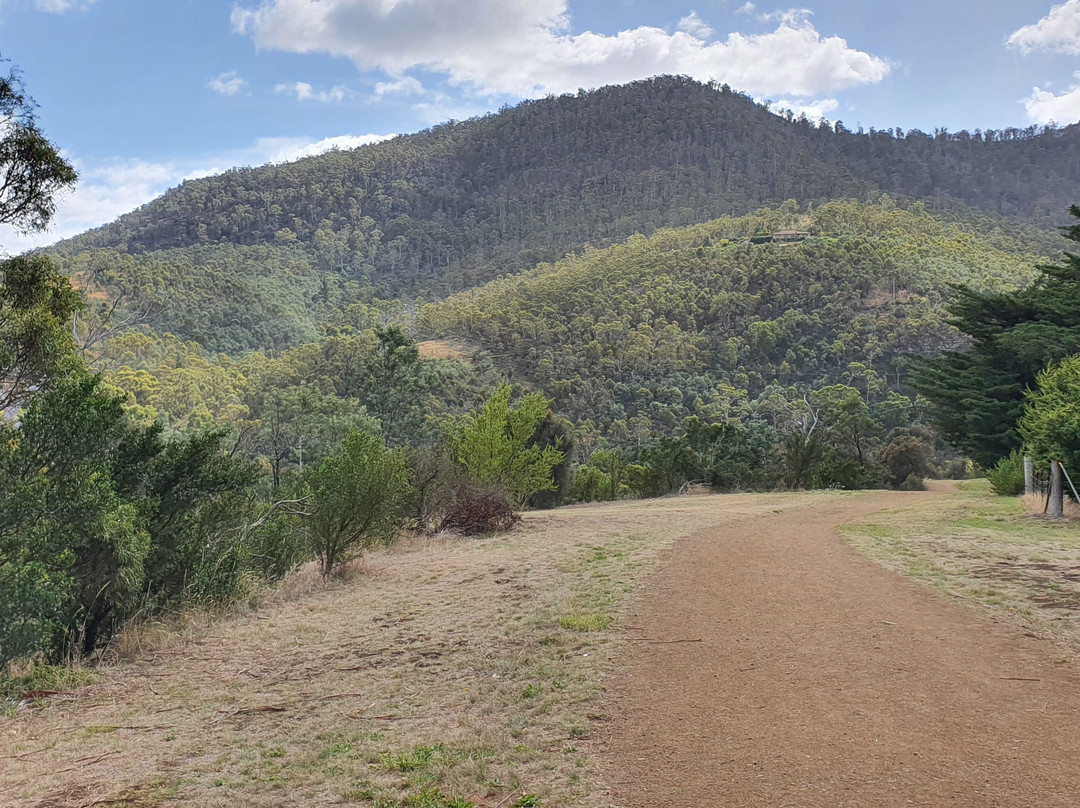Derwent Cliffs Walk-New Norfolk必去景点