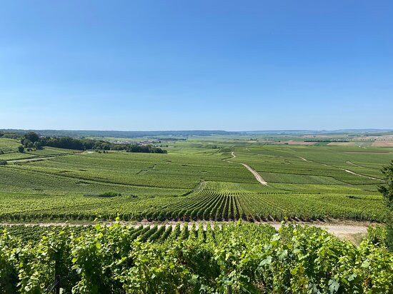 Sacre Wine Tour景点图片