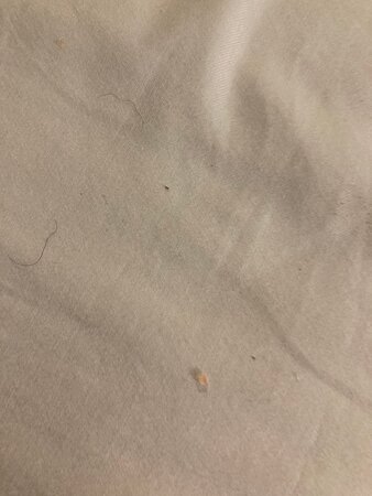 Best Western Plus Waterloo & Cedar Falls-客卧