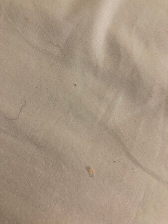 Best Western Plus Waterloo & Cedar Falls主图