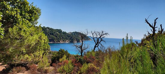 Sentier du Fenouillet-Cavalaire-Sur-Mer必去景点