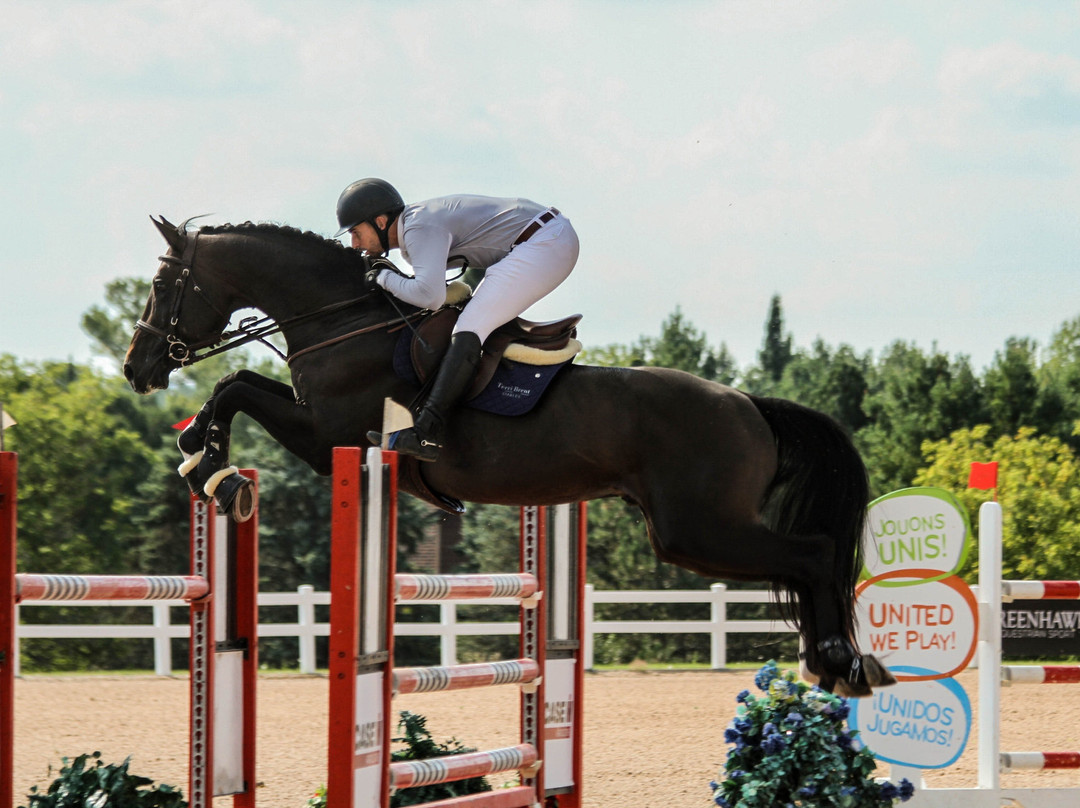 Holiday Inn Express & Suites Aiken By IHG主图