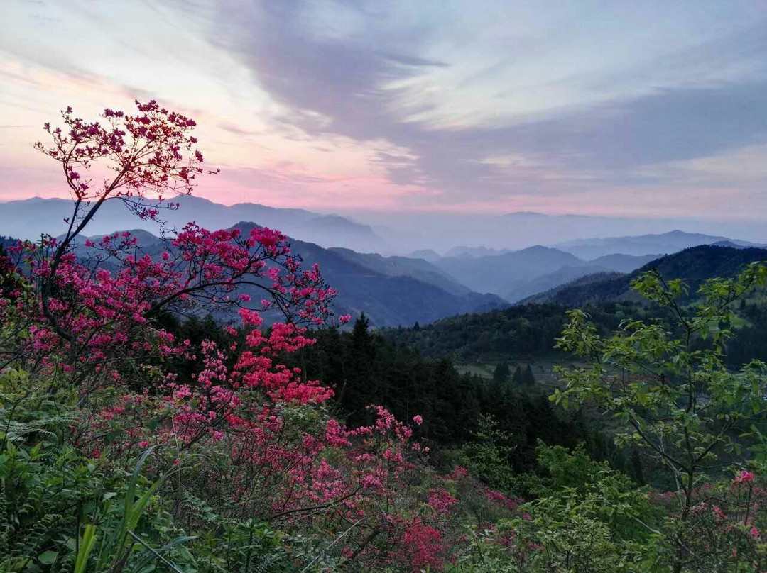 金华磐安高姥山景点图片