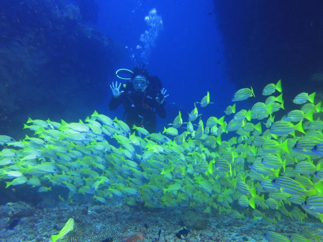 Go Divers Maldives景点图片