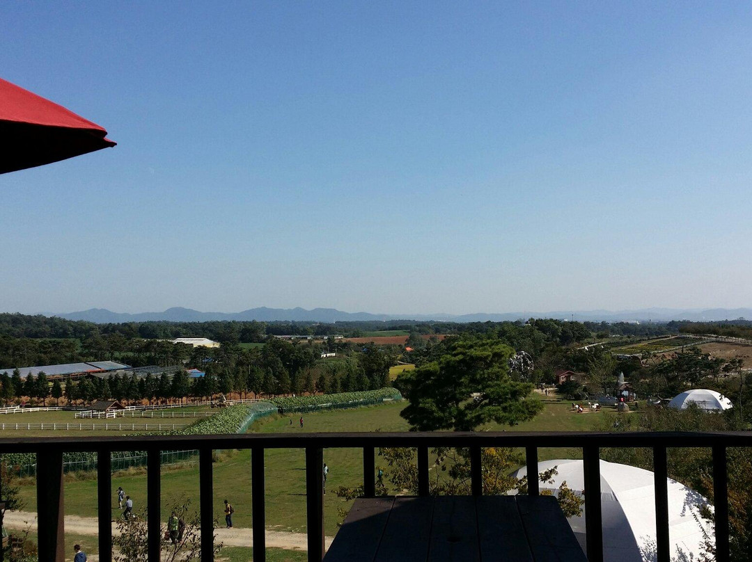 唐津郡旅游景点-Agroland Taesin Farm