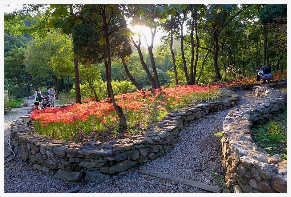 城南市旅游景点-Singu Daehak Arboretum