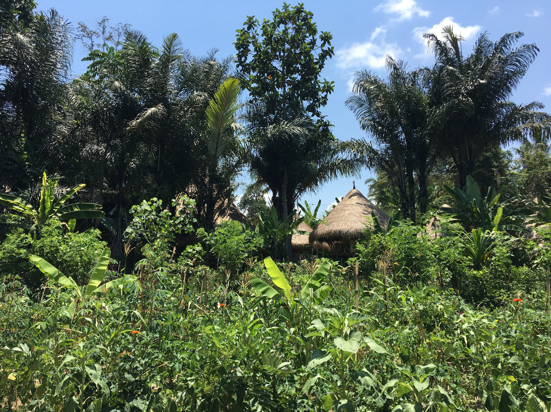 The Kul Kul Farm-阿比安塞马尔必去景点