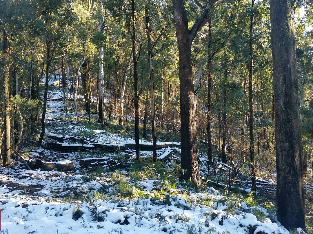 Alpine National Park景点图片