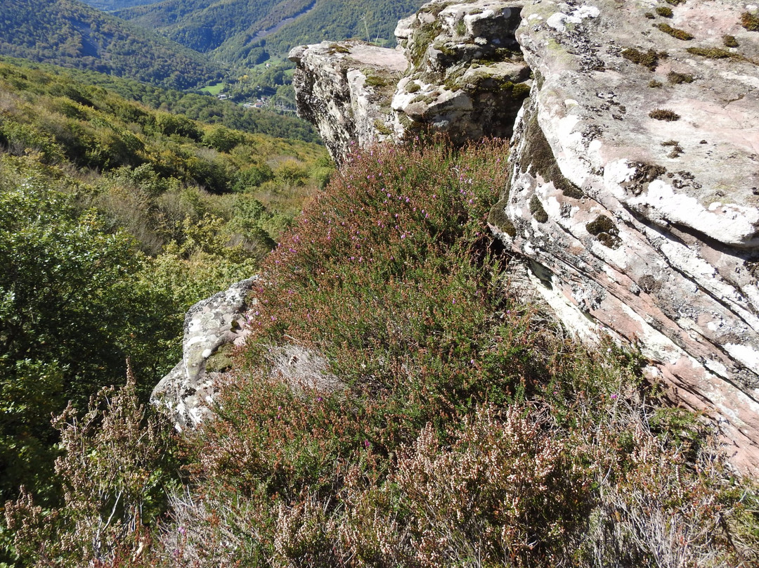 Garayoa旅游攻略图片