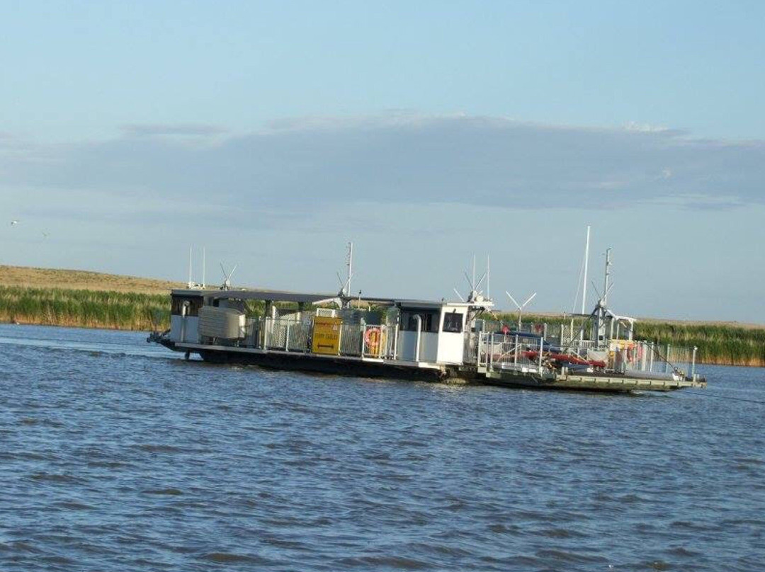 Narrung Ferry