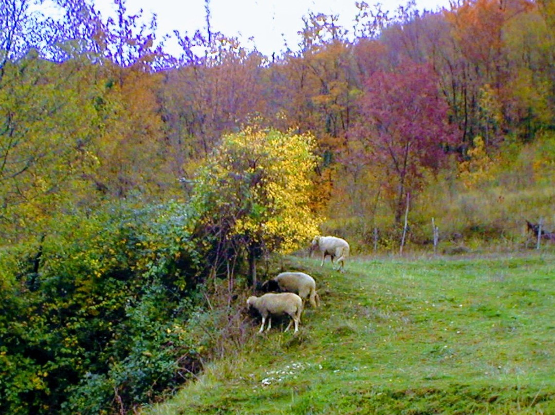 San Biagio Saracinisco旅游攻略图片
